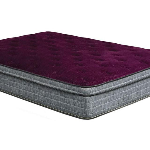 Minnetonka Purple 13" Euro Pillow Top Mattress, E.King image