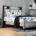 DAPHNE Gray Cal.King, E.King & Queen Bed - James Furniture (NY)
