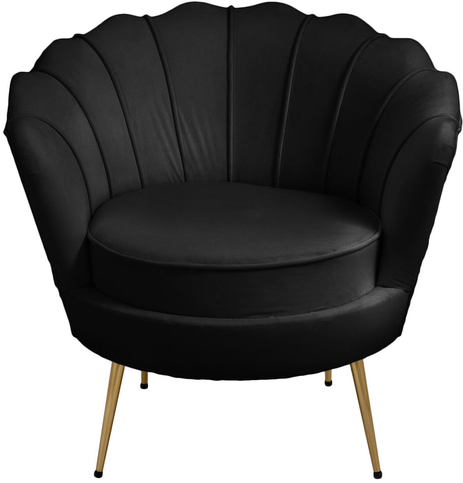Gardenia Black Velvet Chair